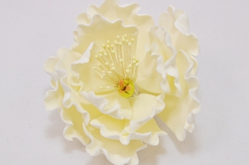 Individual Sugar Flowers