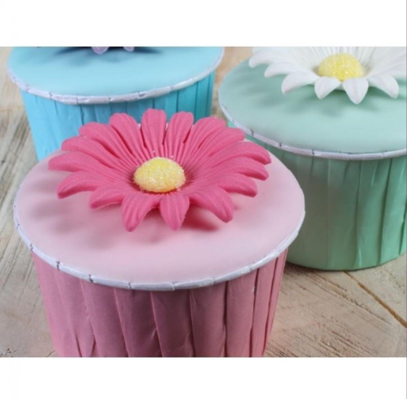 Sugarsoft Daisy Pink Sugar flowers 50mm (Box 20 Sugar & Ice